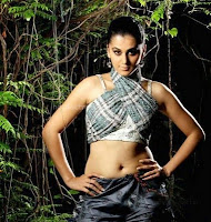 Tapsee, hot, navel, photos