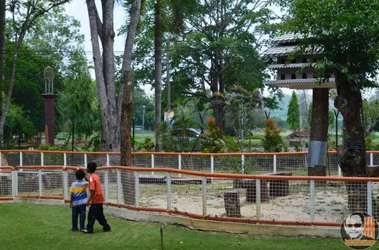 Gambar Sekitar Taman Ular dan Reptilia Negeri Perlis (Snake Farm Perlis)