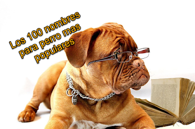 Los 100 nombres para perro mas populares