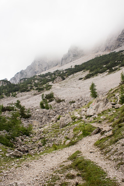 Weg im Nebel