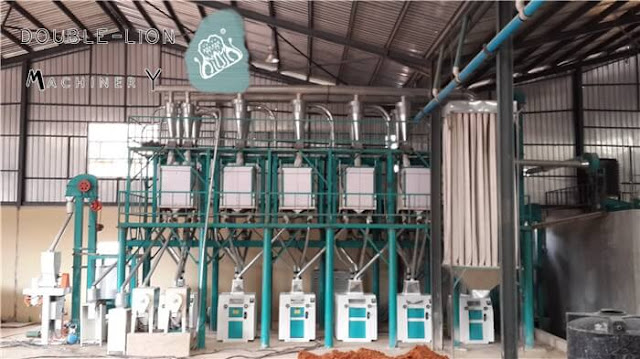 How to start a wheat flour mill factory | Double-lion Machinery