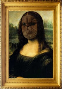 mona persian