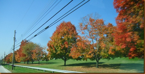 Fall shot 3