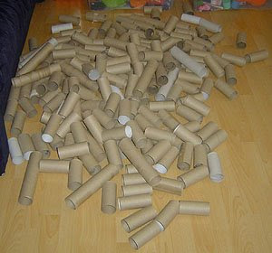 Collection of toilet roll and kitchen roll tubes