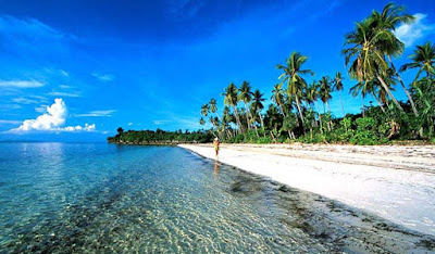 Navigate the beauty of the sea and the islands of Wakatobi, Southeast Sulawesi.