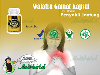 Walatra Gamat Emas Kapsul Obat Penyakit Jantung