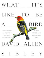 Image: What It's Like to Be a Bird: From Flying to Nesting, Eating to Singing - What Birds Are Doing, and Why (Sibley Guides) | Hardcover: 240 pages | by David Allen Sibley (Author). Publisher: Knopf (April 14, 2020)