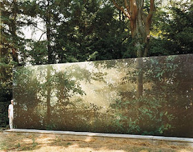 Thomas Demand's 'Clearing' | Venice Biennale Display, Image courtesy Thomas Demand _Clearing_ 1 _ in.pinterest.com