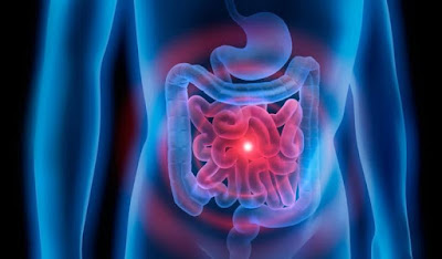 Gastrointestinal Drugs Market