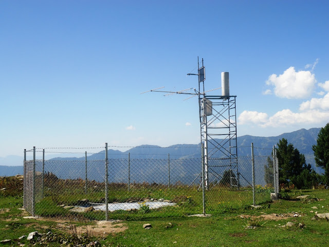 Siri Paye, Shogran