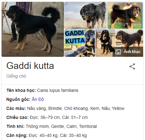 Gaddi Kutta