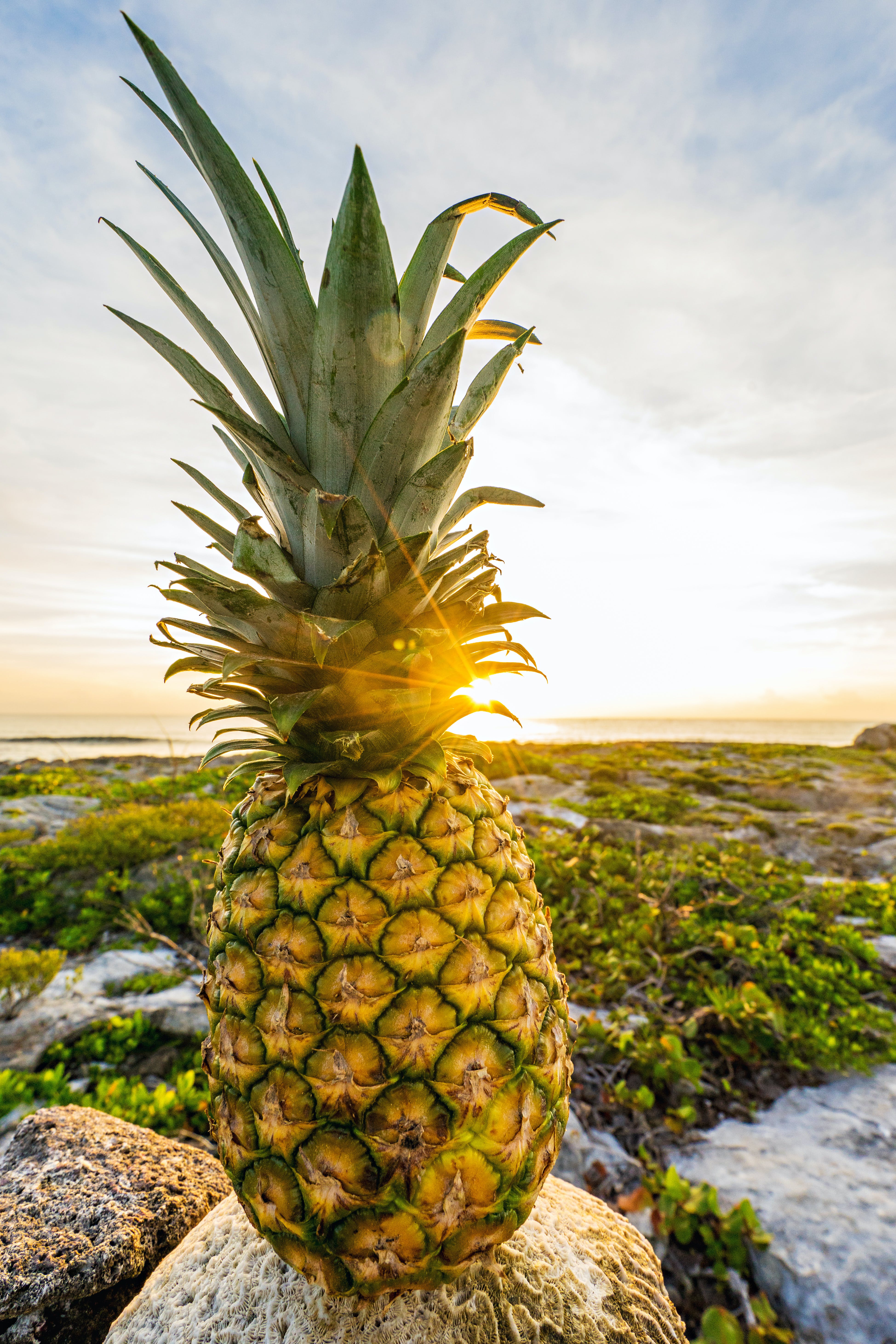 5 Amazing Health Benefits of Pineapple
