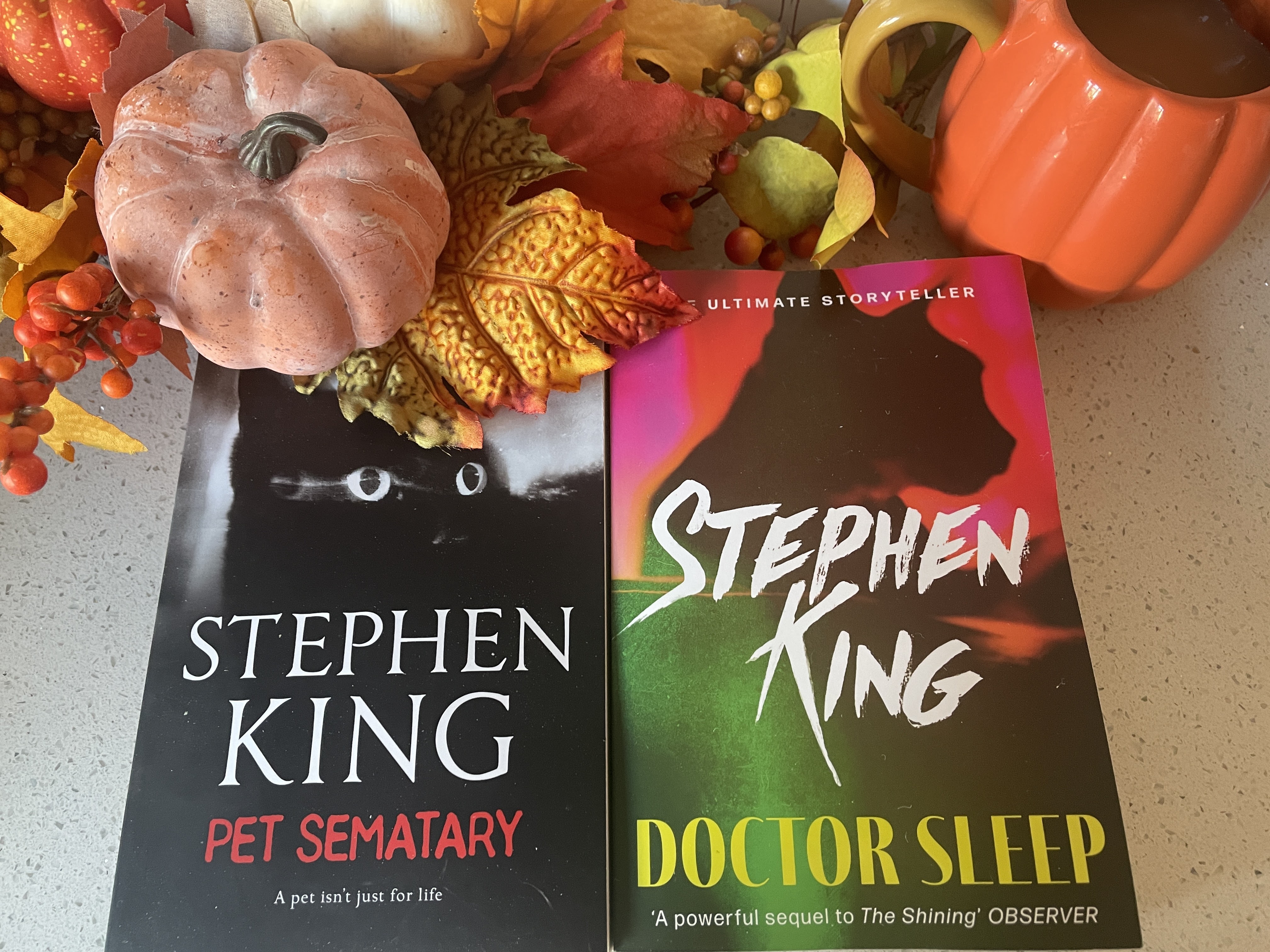 a collection of 2 stephen king books
