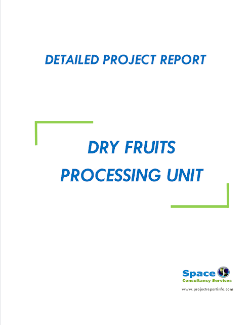 Project Report on Dry Fruits Processing Unit