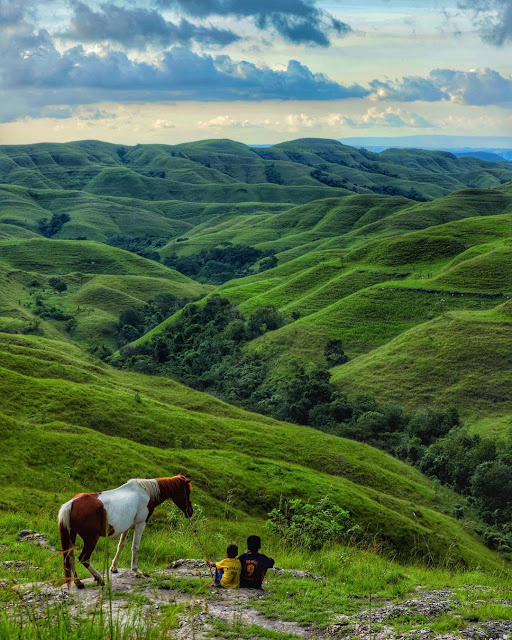 Bukit Wairinding, Destinasi Wisata Sumba Timur Paling Eksotis