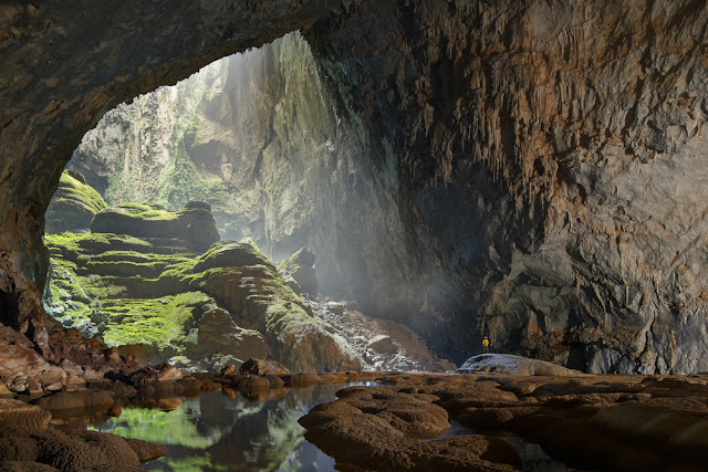 La vegetación dentro de Hang Son Doong