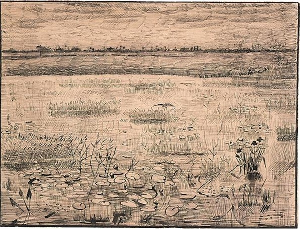 Marsh with Water Lillies