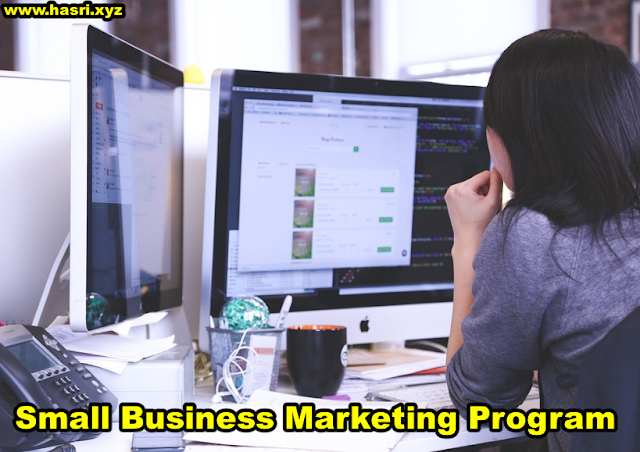 Small Business Marketing Program