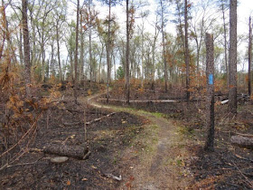 burned trail