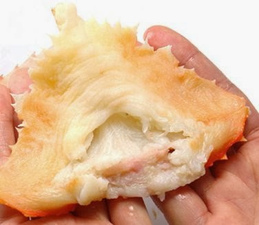 卸値特価で超お得 足折れカニ わけあり蟹 まかない用かに 通販あり かにのはかま かにのふんどし 前掛けって何