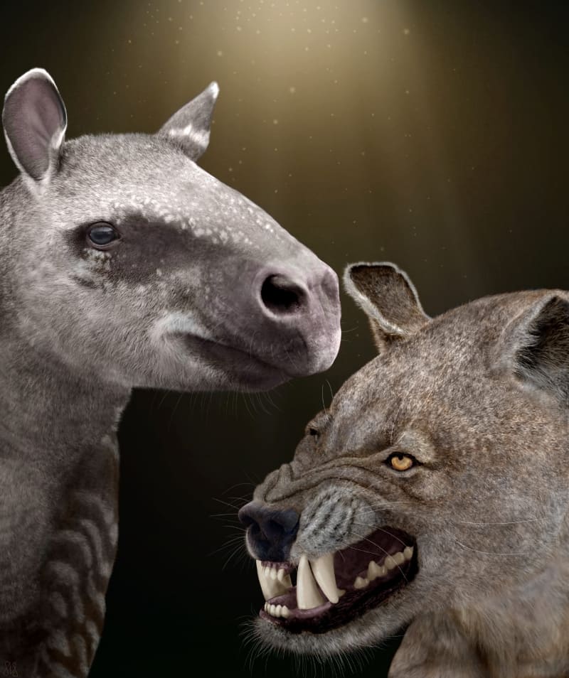 Izquierda Hyrachyus modestus, un ancestro del rinoceronte y el tapir y del mamífero del Paleoceno Arctocyon primaevusa la derecha