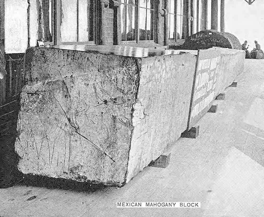a giant block of mahogany at the 1893 Chicago World's Fair