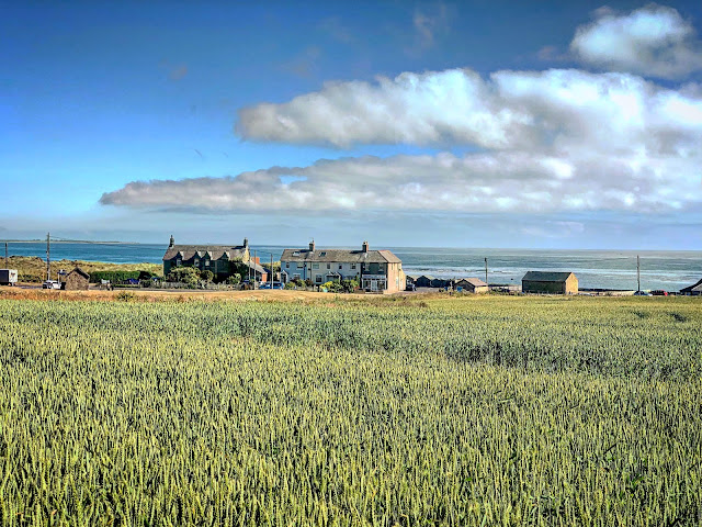 Cresswell in Northumberland, Cresswell towers, coming home from holiday early, Mandy Charlton, photographer, writer, blogger