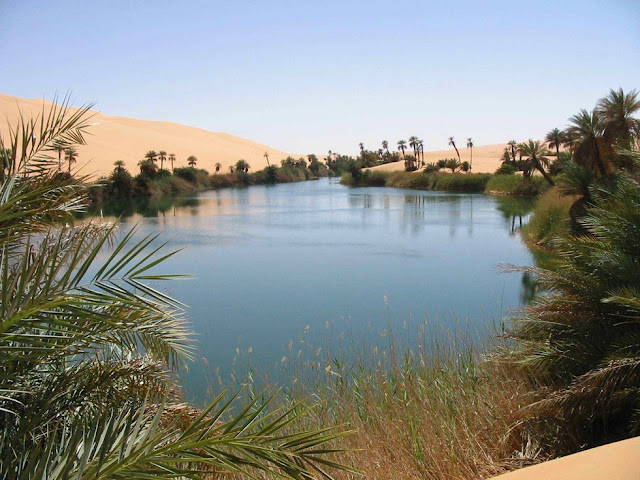 Fabulous Oasis in The Libyan Sahara