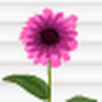 Free SS Only Flower
