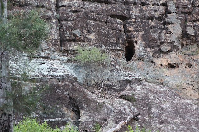 Rock face with crevices