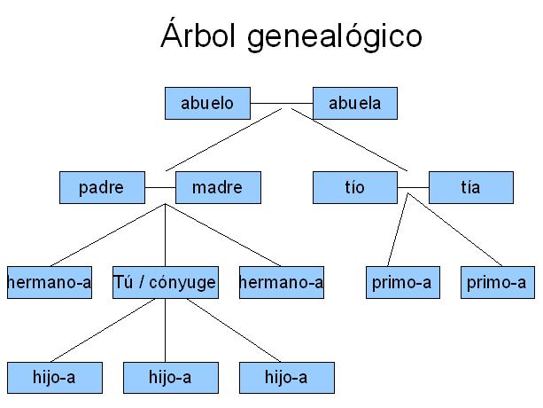 Jaime Jose Piña Arangure: El Árbol Genealógico