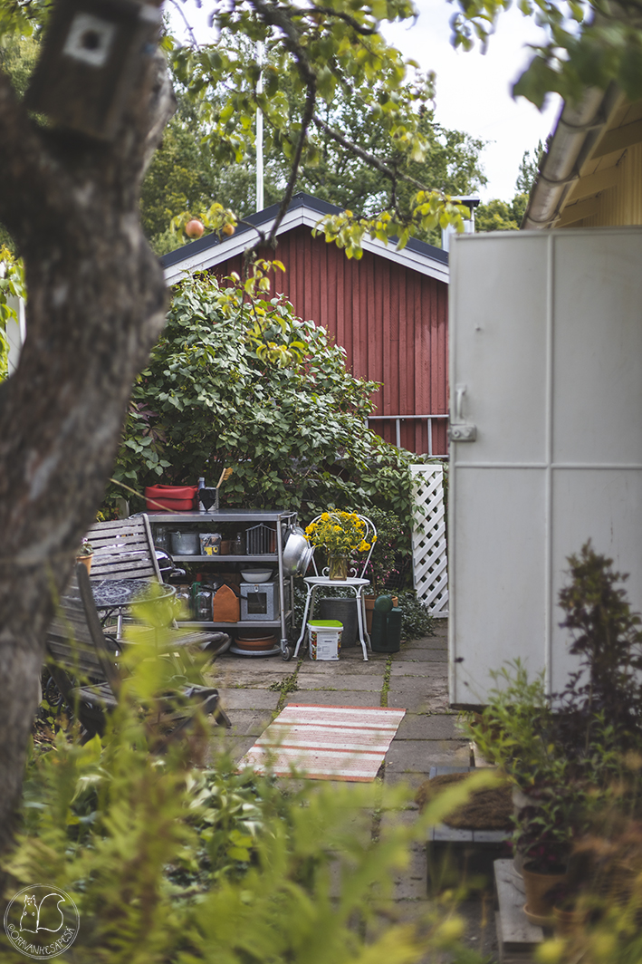 Oravankesäpesä siirtolapuutarhamökki remontti ovi