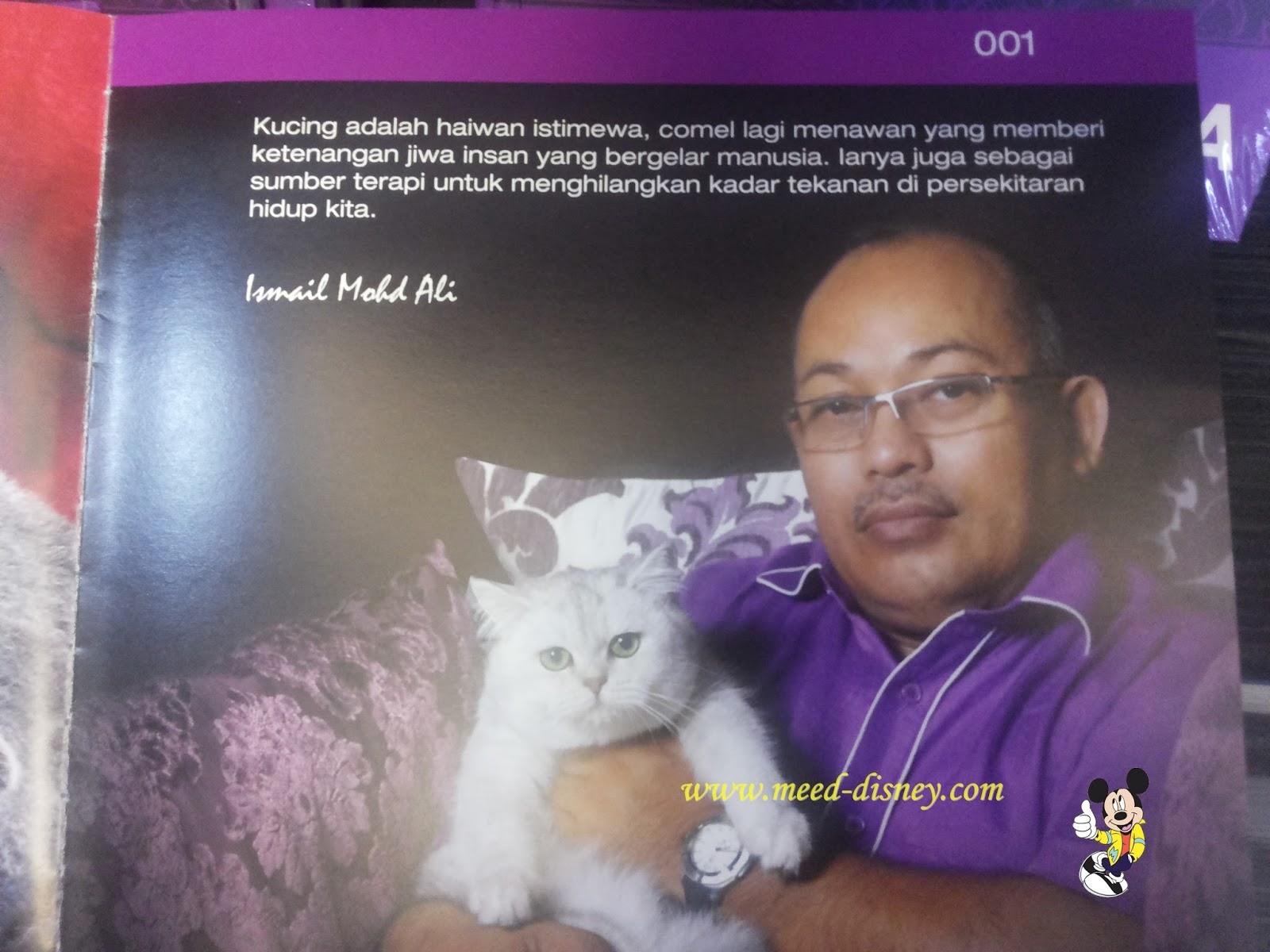 Jual Beli Kucing Di IMADI Pet, Johor Bahru ~ Hi, Meed Di Sini!!