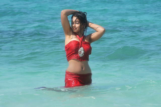 neethi Taylor hot photos