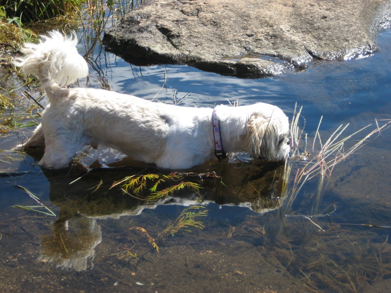 smudge with frog.jpg