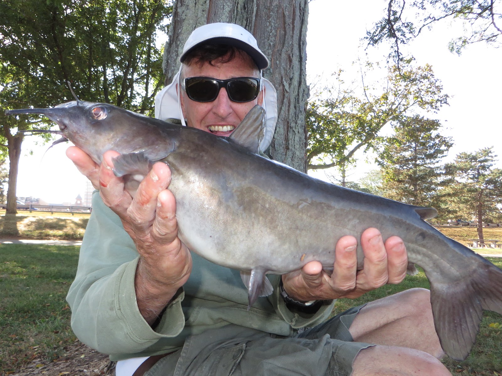 Rhode Island Carp Fishing: Photo of the Day- Cats on the Prowl Today - 009