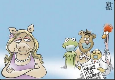 porc (3)