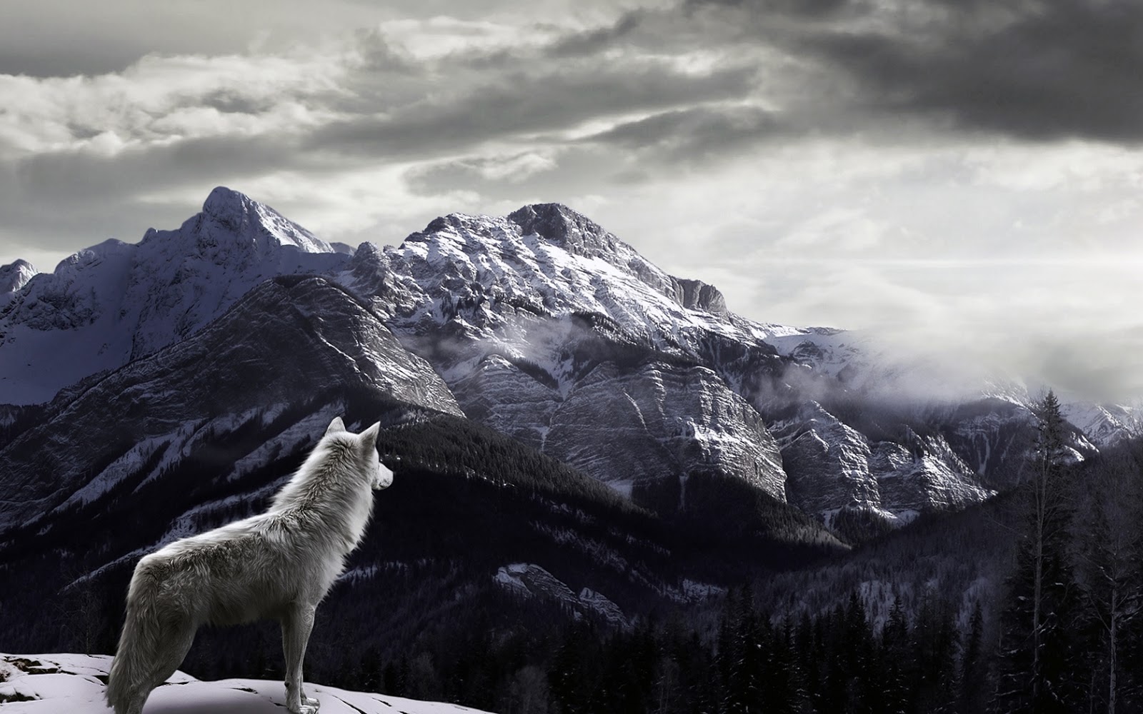 https://blogger.googleusercontent.com/img/b/R29vZ2xl/AVvXsEiTJzUilK_AWvRoBMA4T7_IQhQUd1WSsTTeLPZfMIl88GU43SV7jCgrCrLEwOlg4A9TXY4YhU8mTrYxsxZE8MKHDqRnanmTfrjefXkDz8mjOReU7xYX3ZIqvRtSRVCqqOtZnY_7ix7JUraV/s1600/Wolf-Watching-Snowy-Fog-Covered-Mountains-HD-Wallpaper.jpg