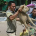 Stop Festival Yulin di China, Festival Makan Anjing Besar-Besaran di China. Petisi