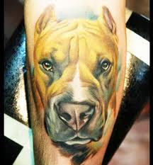 Tatuagem de Pitbull