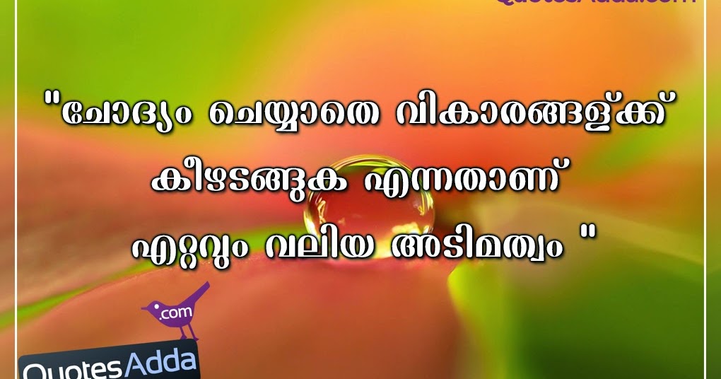 Good Motivational Malayalam Quotations  Quotes Adda.com 