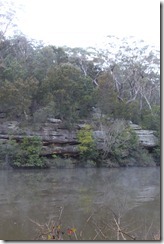 IMG_2916 IMG_2916