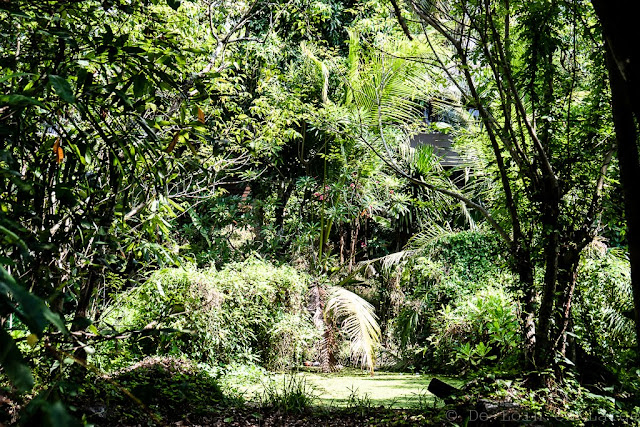 KoYao-Island-Resort-Koh-Yao-Noi-Thaïlande