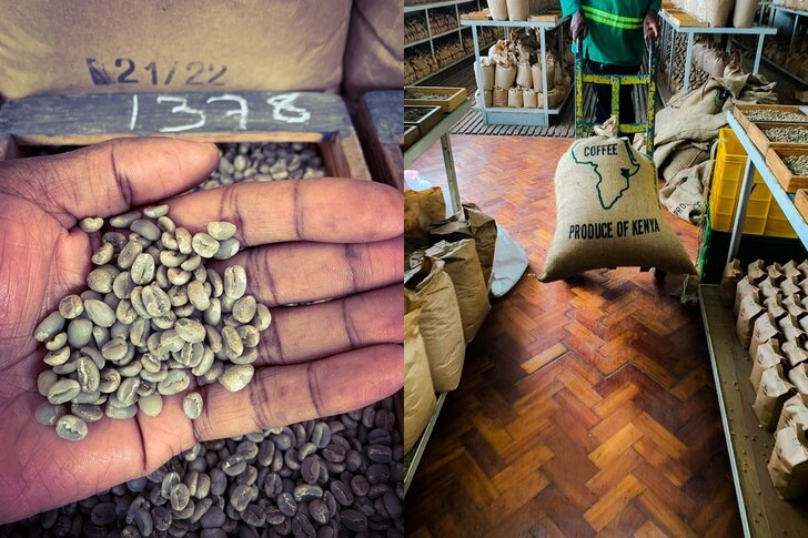 10 THINGS TO KNOW ABOUT KENYAN COFFEE
