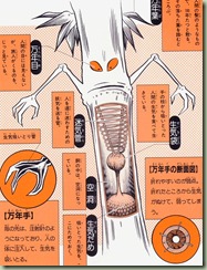 yokai_daizukai_10