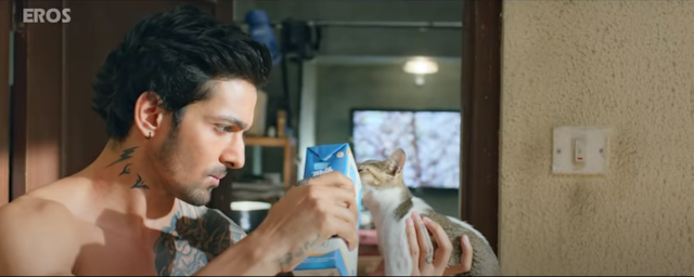 Sanam Teri Kasam full movie download