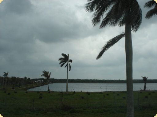 Fort Myer, FL 138