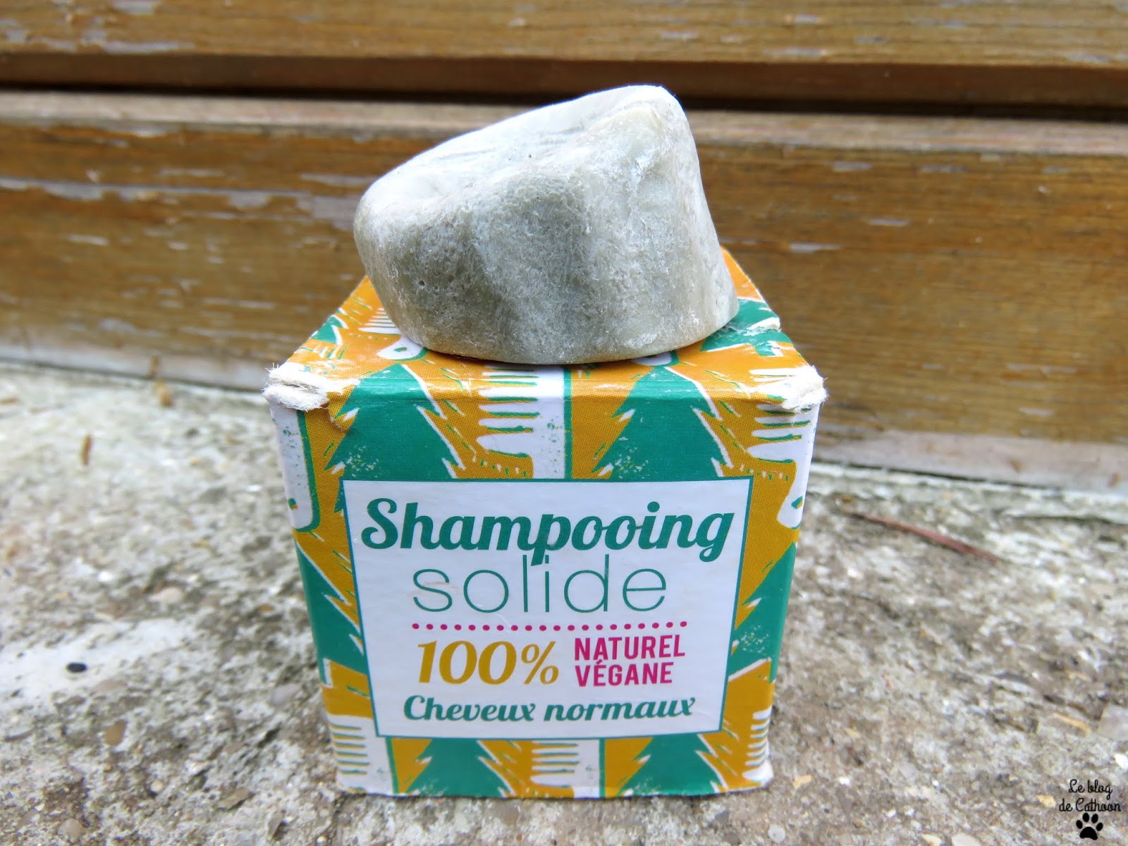 Le shampoing solide ou liquide en shampoing pour pinceau