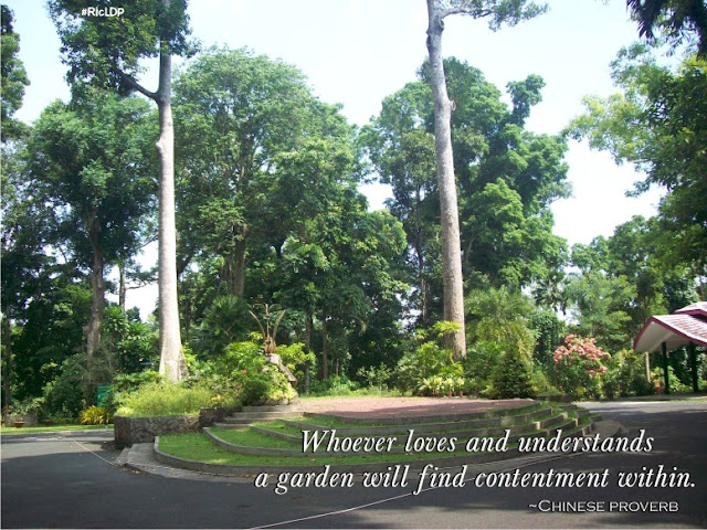 Whoever loves and understands a garden will find contentment within.