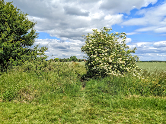 Continue on Ickleford footpath 3 through the hedgerow then head NNW